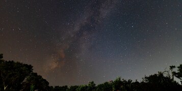 Vista da propriedade