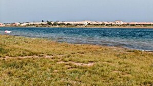 A coastal area with houses along the shore and a grassy foreground. - L'Hacienda by Interhome (Gruissan)