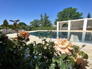 Outdoor pool - Trullo Cinquenoci - Micele Holiday Houses (Locorotondo)