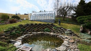Un jardin avec un étang, une serre et un mur de pierre.