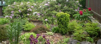 Jesenný by Interhome