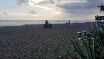 在海灘附近、躺椅