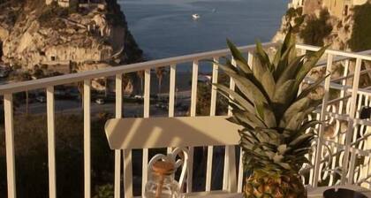 La Pinta overlooking the sea