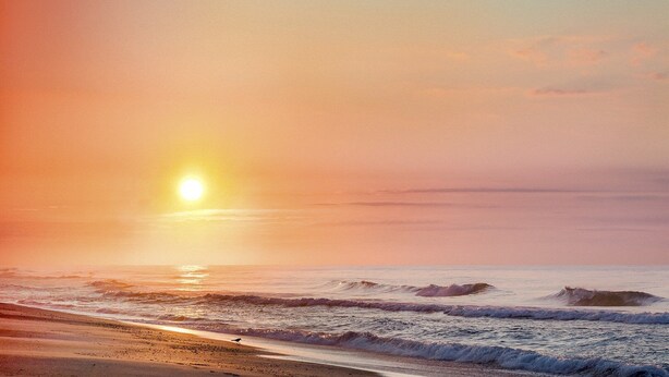 Una spiaggia con il sole che tramonta sull'oceano, le onde che si infrangono sulla riva e un uccello sulla sabbia.