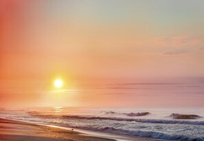 A beach scene with the sun setting over the ocean, waves approaching the shore, and a bird on the sand.