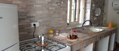 Fridge, oven, stovetop, electric kettle