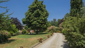 A gravel driveway leading to a house surrounded by lush greenery and trees. - Il Fienile del Colle by Interhome (Pescia)
