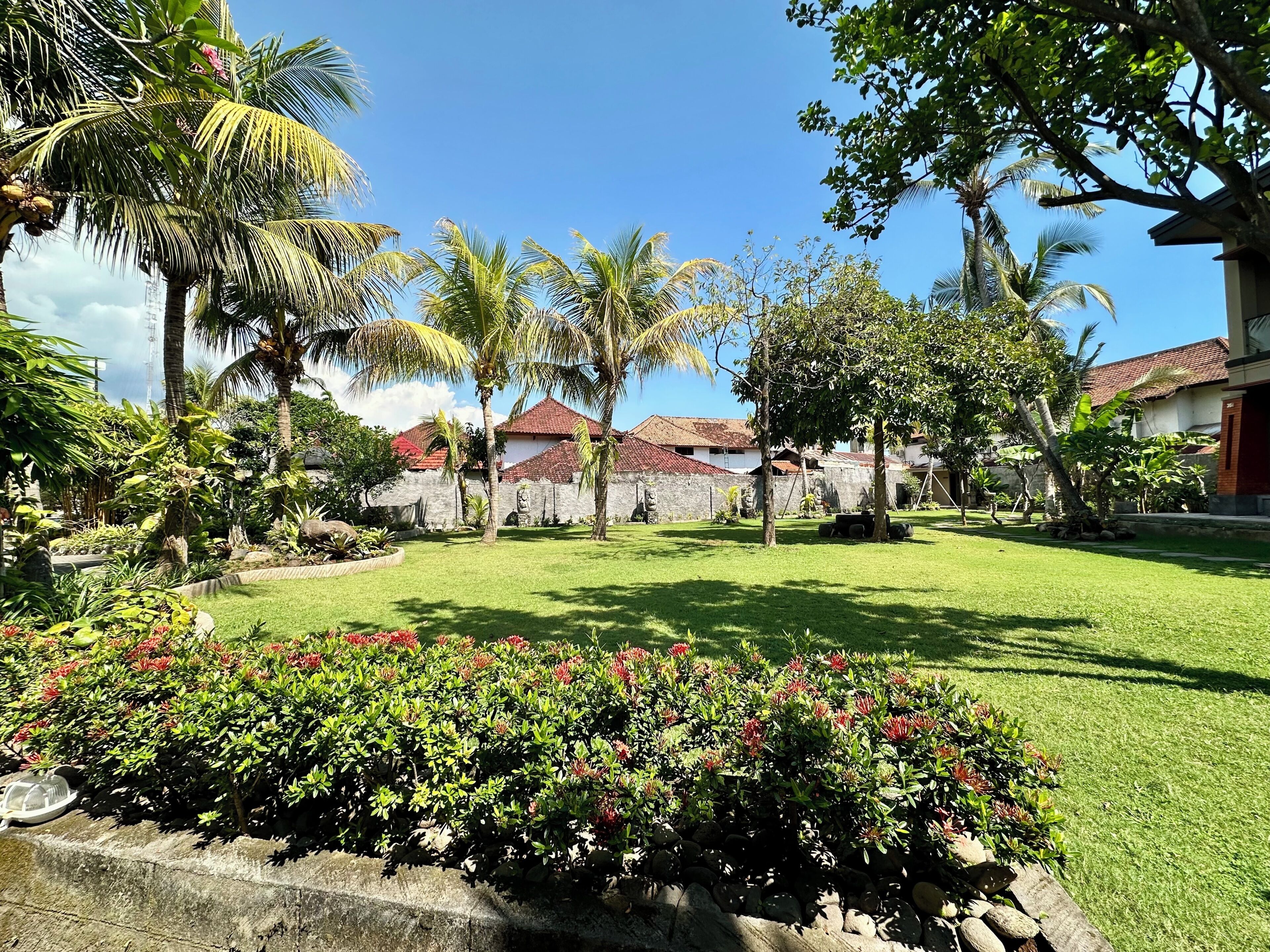 Un jardín tropical con palmeras, un muro de piedra y césped.