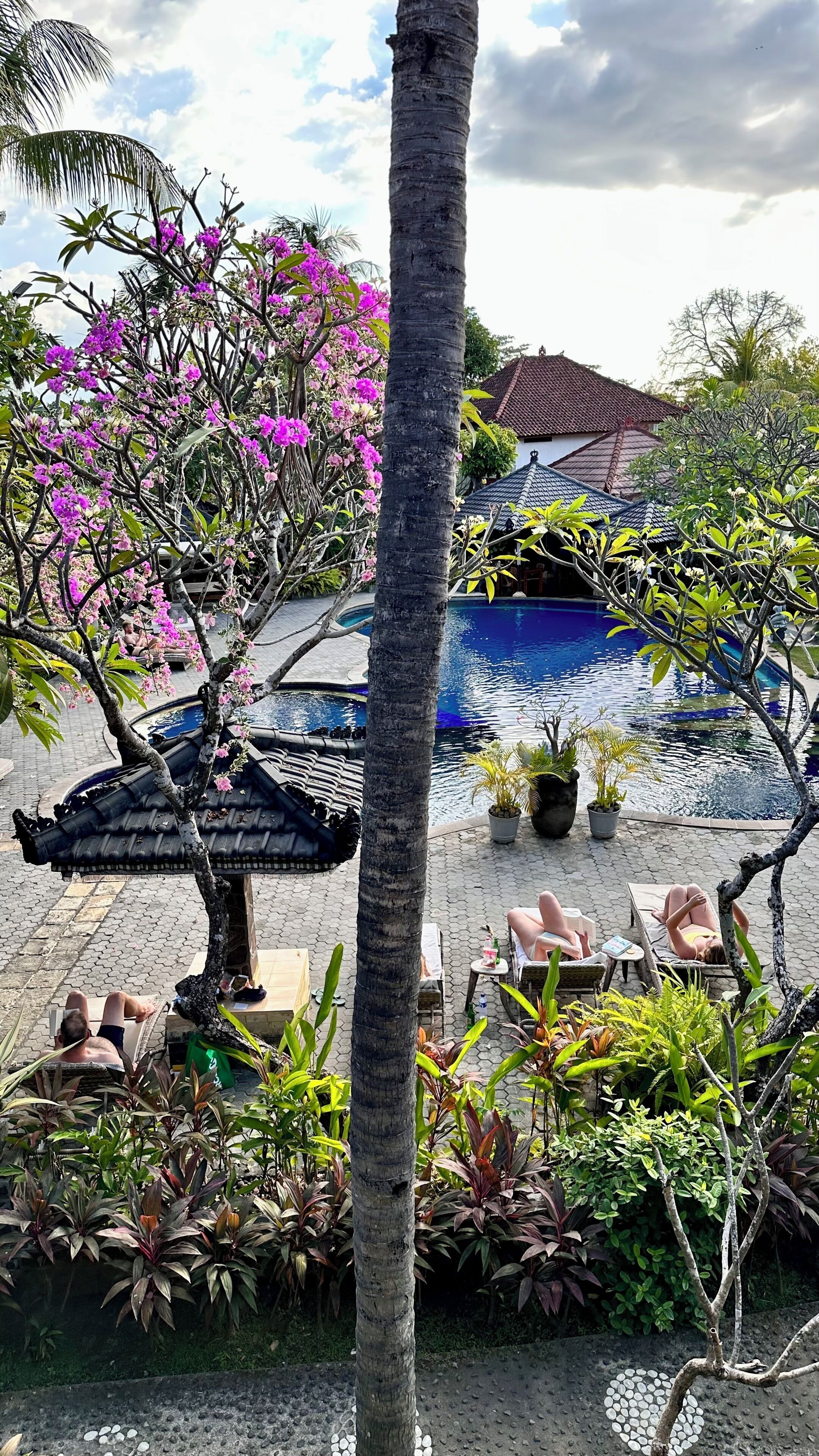 A pool area with lounge chairs, a palm tree, and a traditional tiled roof structure.