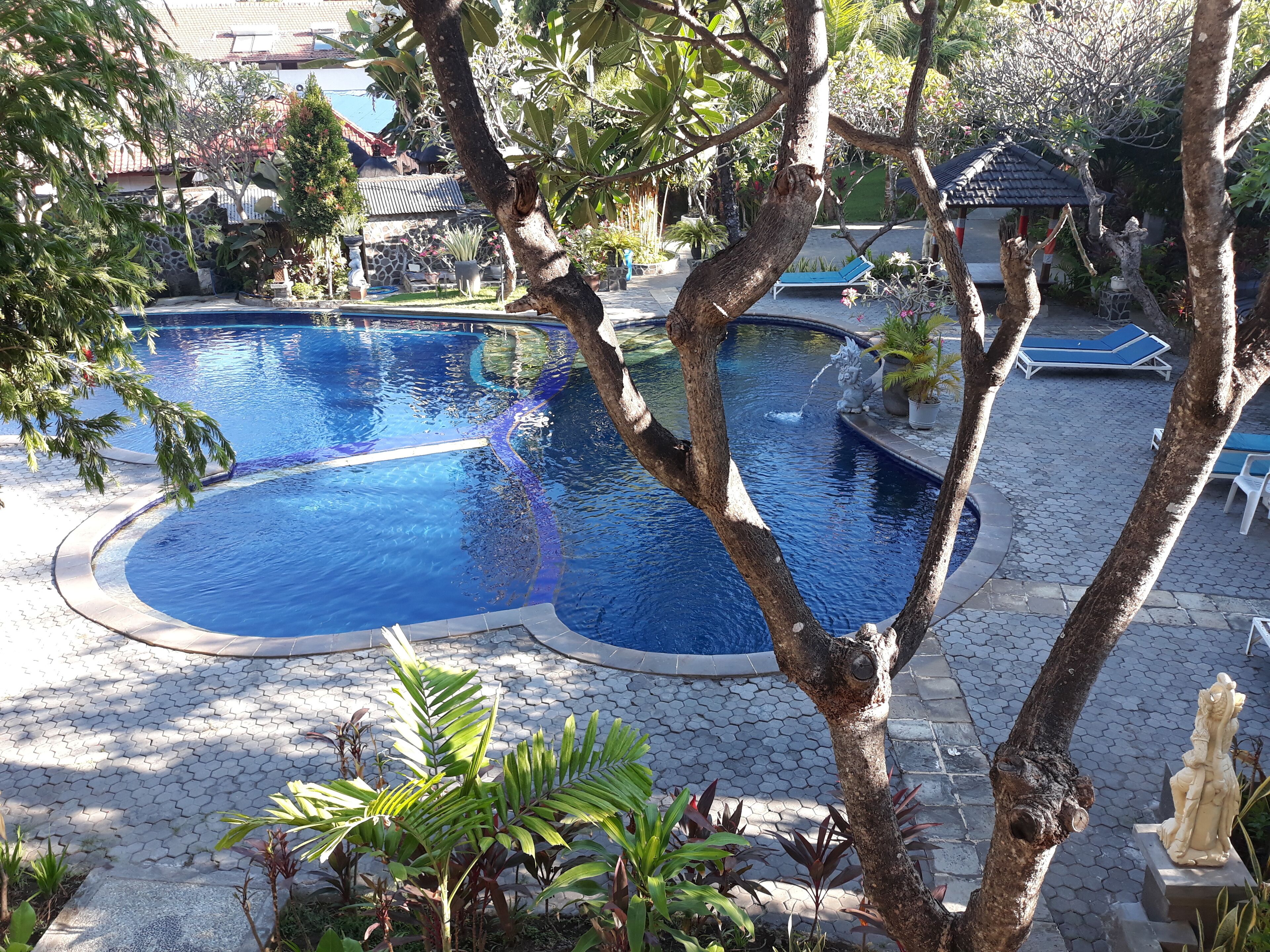 Zona de piscina con dos piscinas separadas, rodeada de baldosas de piedra y plantas en macetas.