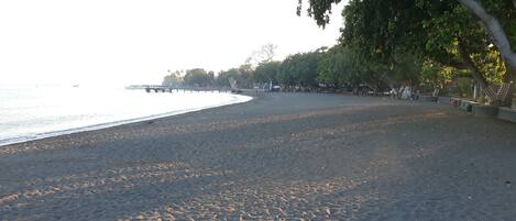 A beach with a sandy shore and a calm sea.
