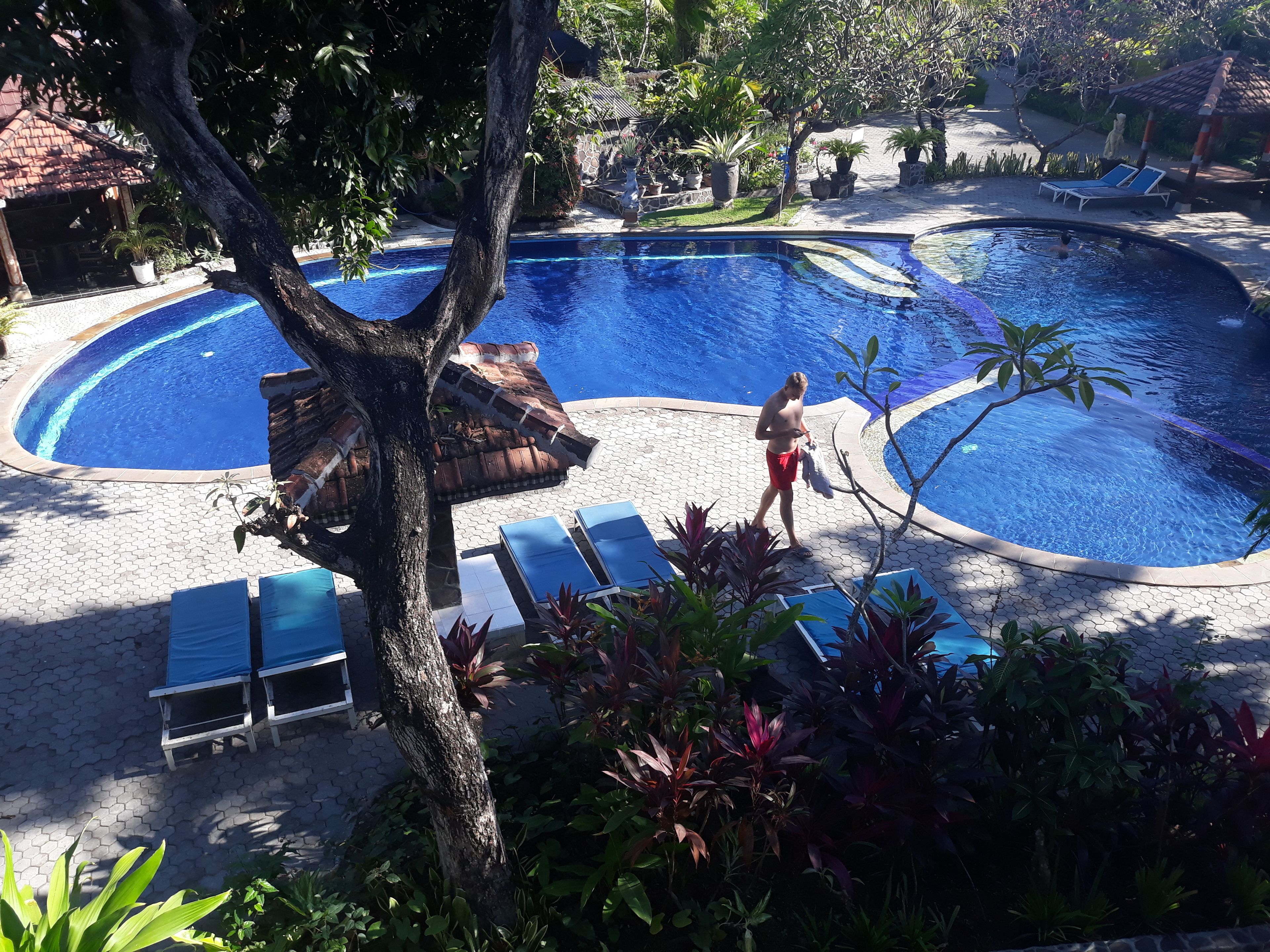 Un área de piscina con sillones de descanso y un árbol.