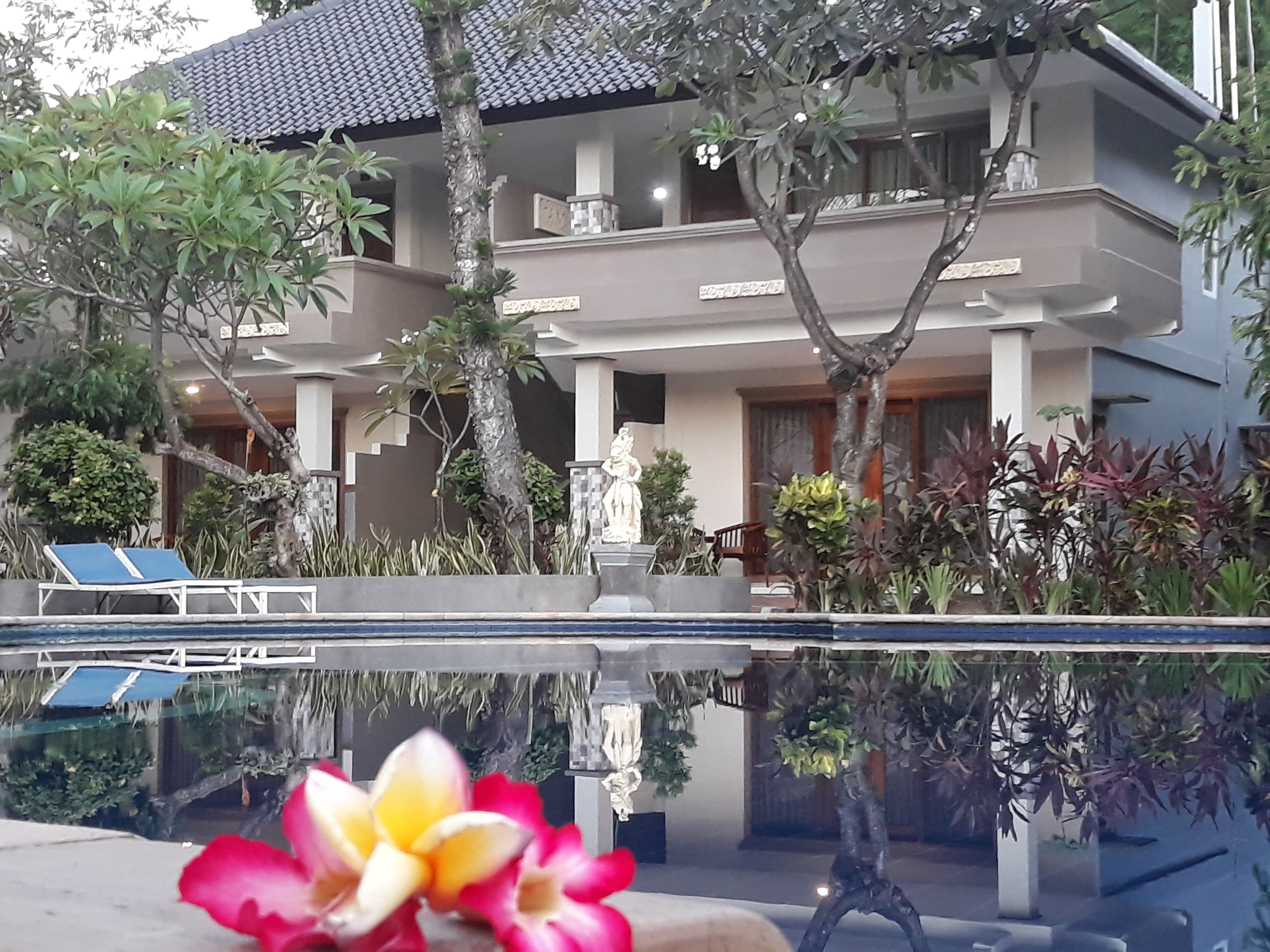 A modern building with a swimming pool, surrounded by various plants and a statue.