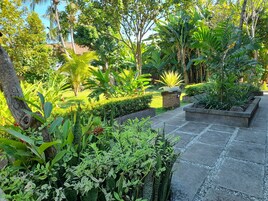 Vista desde la habitación