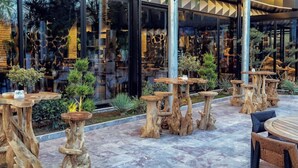 Un área de estar al aire libre con mesas y sillas de madera, rodeada de vegetación y un edificio de vidrio al fondo.