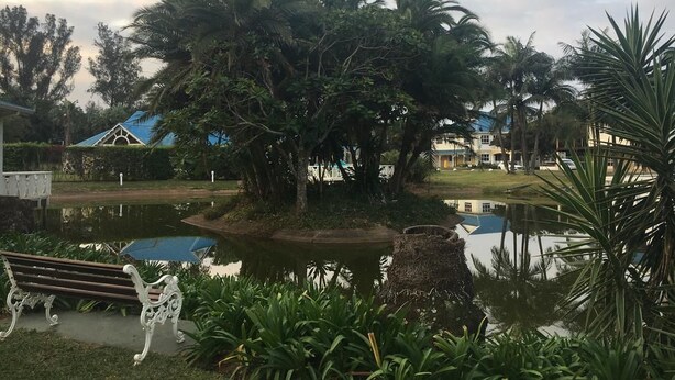 A serene garden with a pond, palm trees, and a bench. - Caribbean Estates Villa & Apt (Port Edward)