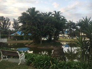 A serene garden with a pond, palm trees, and a bench. - Caribbean Estates Villa & Apt (Port Edward)