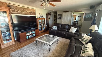 Fernseher, Stereoanlage