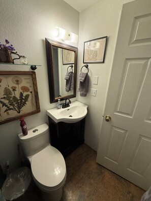 Hair dryer, towels, soap, toilet paper