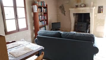 Smart TV, fireplace, video games, DVD player