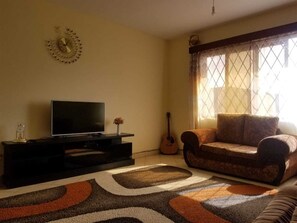 TV, DVD player, books, video library