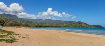 Dream Vintage Surf Cottage TVNC 4301