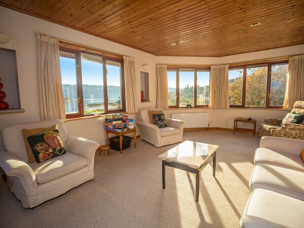 T élévision, cheminée, Netflix, lecteur de DVD