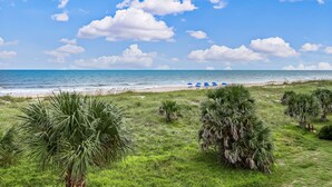 Ein Strand mit Palmen und blauem Himmel.