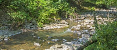 A natural stream with clear water, surrounded by rocks and dense green foliage.