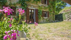 A stone building with ivy, a wooden door, and a garden with pink flowers. - Il Mulino di Cecco by Interhome (Vernio)