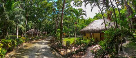 Enceinte de l’hébergement