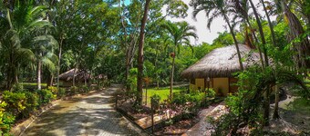 Private Mayan Garden Estate in the heart of the Jungle