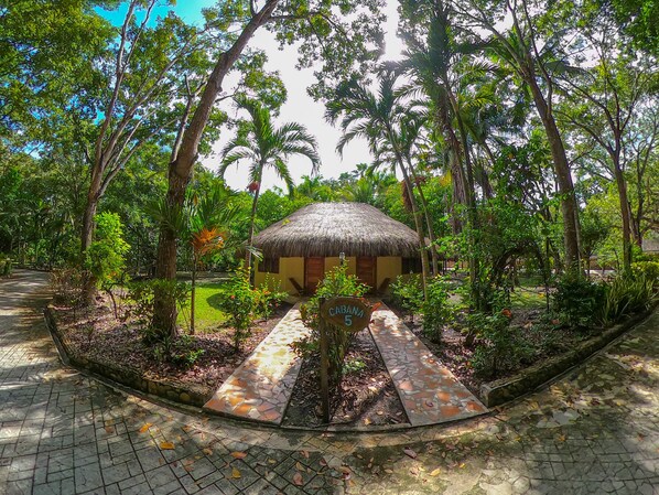 A thatched-roof hut surrounded by lush greenery and a paved pathway.