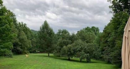 NW Catskills, Private, Fully eq. kitchen 3 1/2 Bedrooms, Sleeps 7.
Zen focus