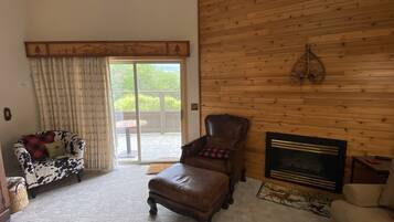 智能电视、壁炉、DVD 播放器