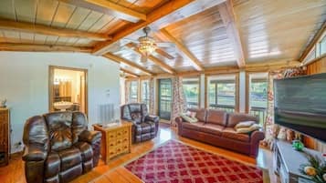 TV connectée, cheminée, lecteur de DVD, livres