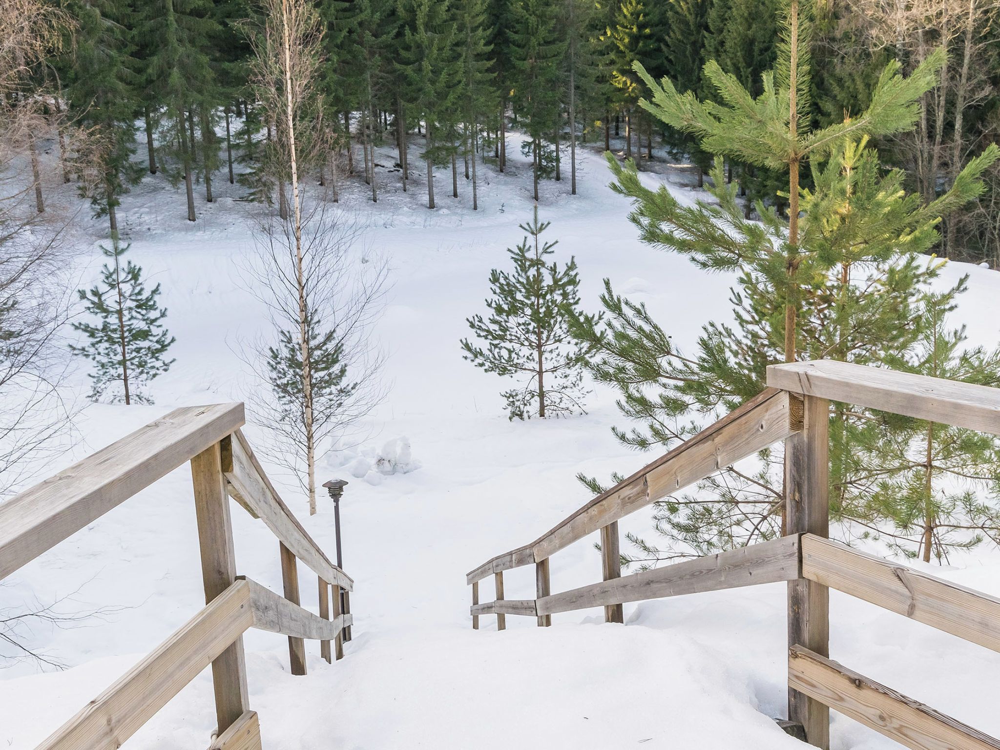 Eine Holztreppe führt zu einem verschneiten Wald mit Kiefern.