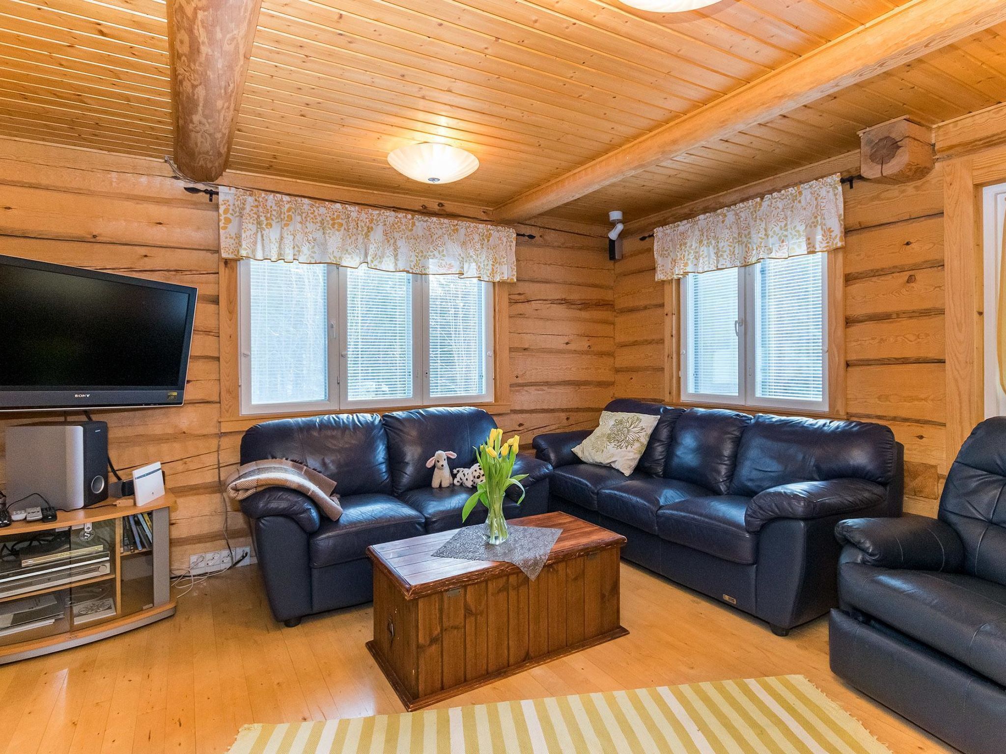 电视、DVD 播放器