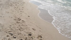 Pantai