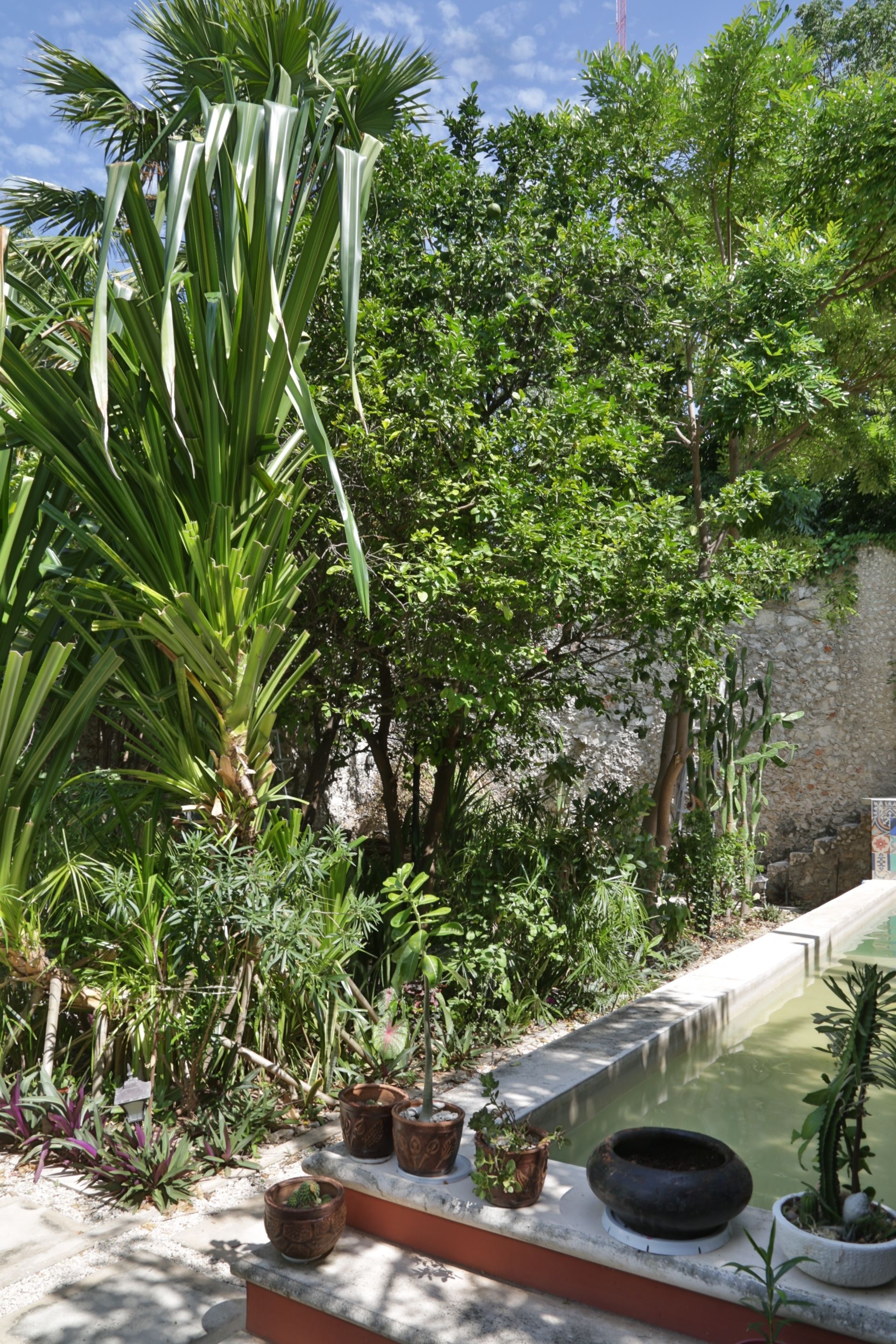 Un jardín con plantas de diferentes tamaños en macetas y una pequeña fuente de agua.