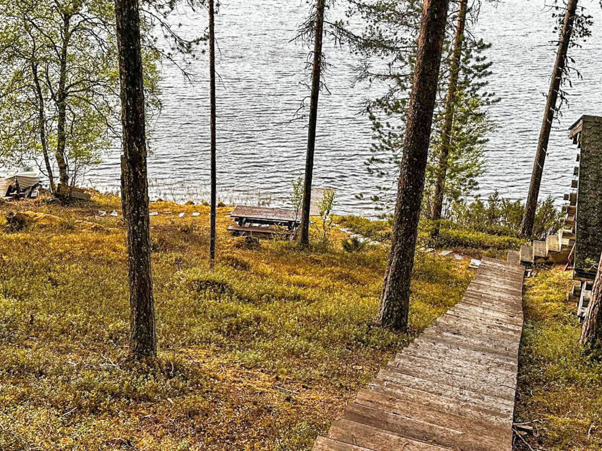 Ein Holzsteg führt zu einer Bank an einem See, umgeben von Bäumen.