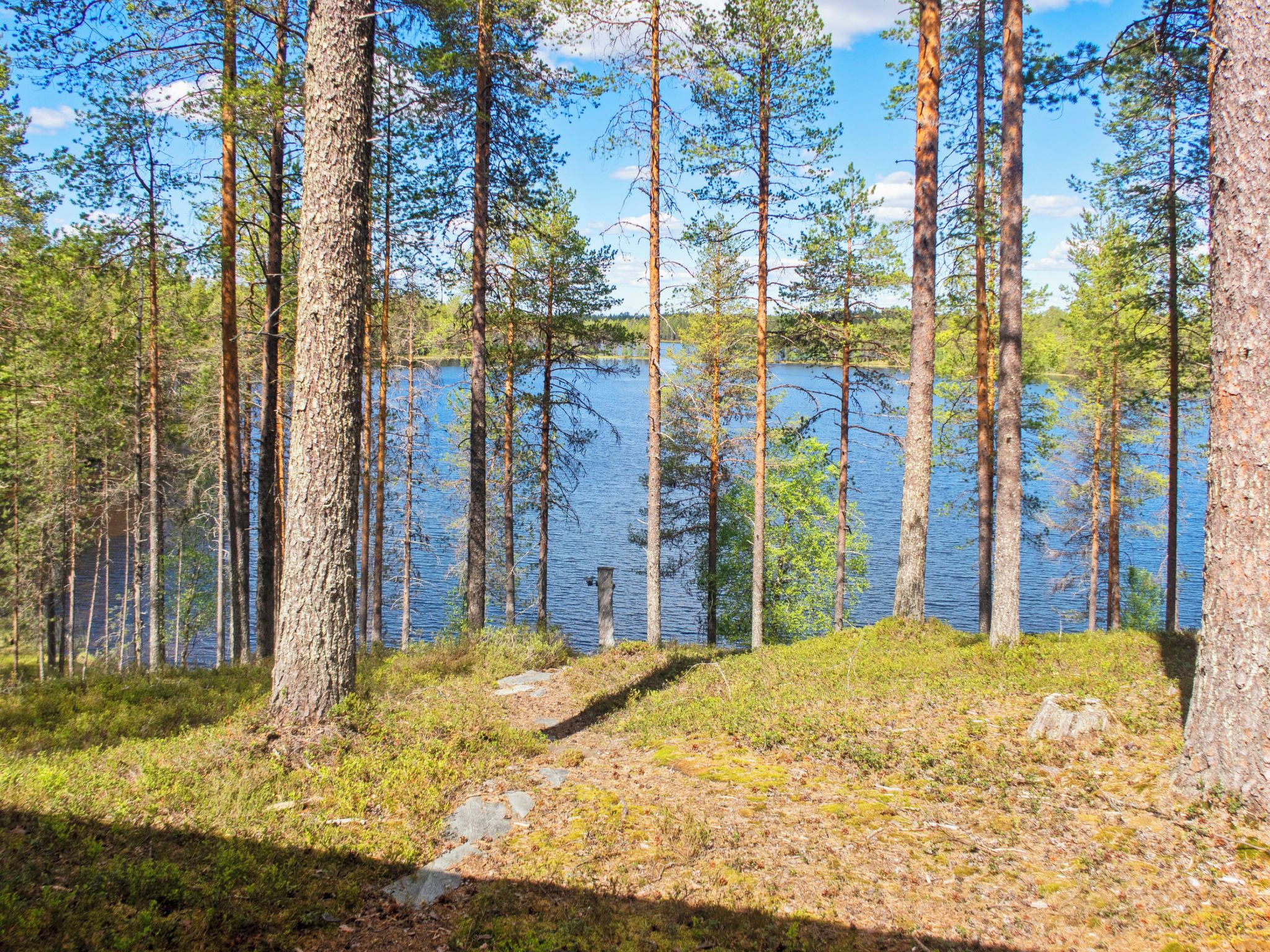 A forested area with a lake, a clear sky, and a stone path leading through the trees.