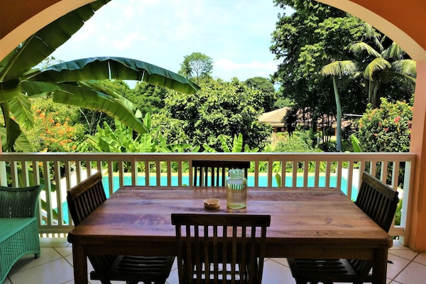 Vista desde la habitación