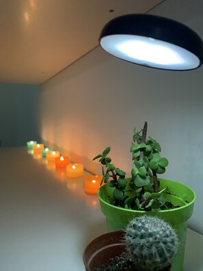 City-Apartment, 1 Schlafzimmer, Nichtraucher, eigenes Bad | Essbereich im Zimmer