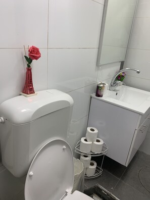 Apartamento urbano, 1 quarto, para não fumantes, banheiro privativo | Banheiro | Toalhas de banho 