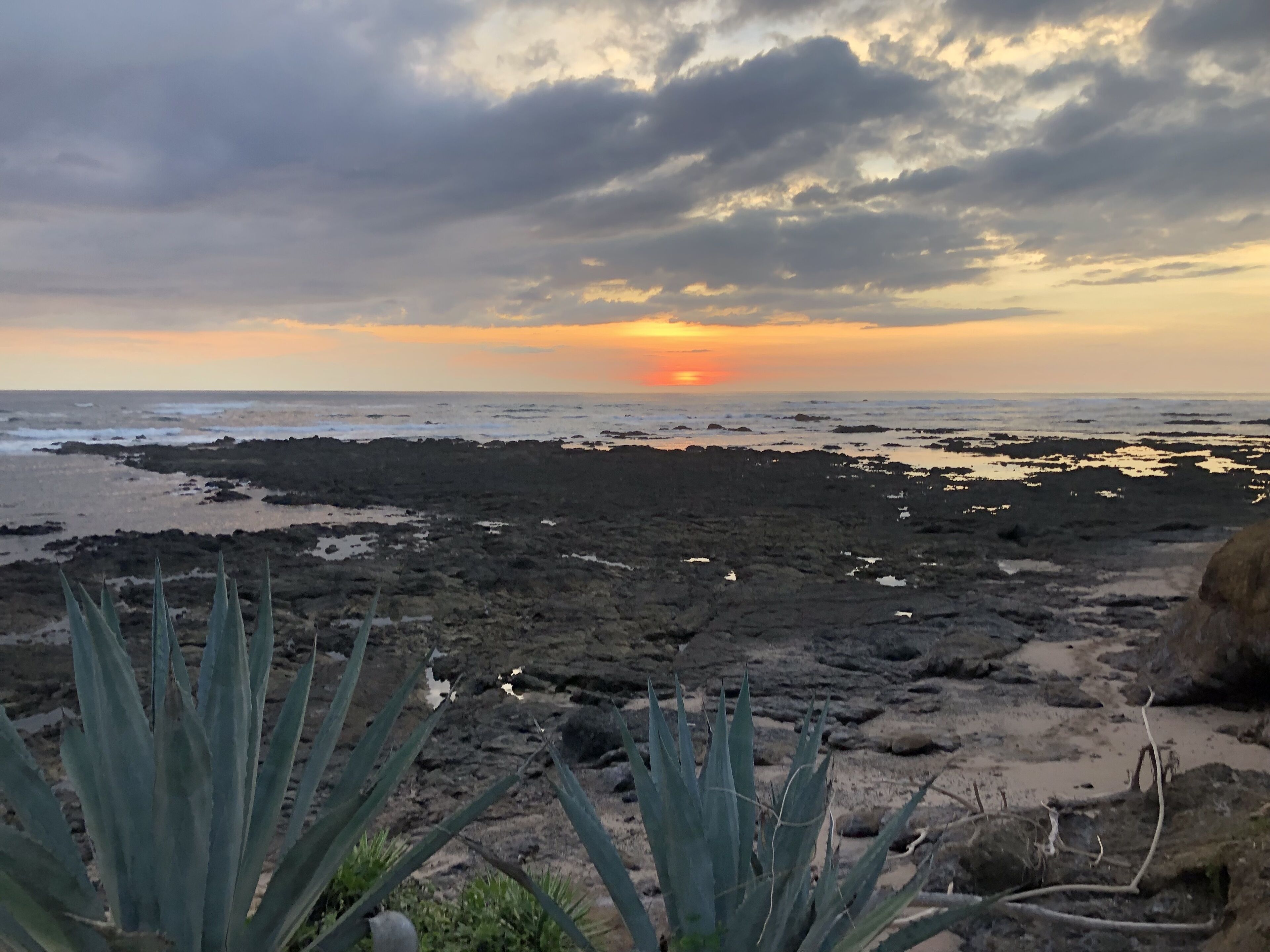 Eine felsige Küstenlinie mit spärlicher Vegetation, vermutlich Agaven, und einem Sonnenuntergang über dem Meer.