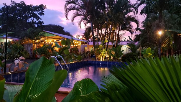 A pool area with a water feature, surrounded by lush greenery and palm trees, with a building in the background. - Saltish Hotel & Villas (Bahía Ballena)