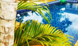 Garden - Saltish Hotel & Villas (Bahía Ballena)