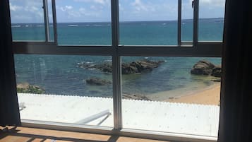 Private Vacation Home, Ocean View | View from room