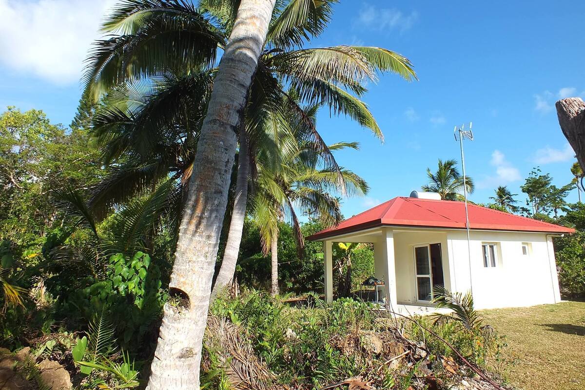 A small white building with a red roof, surrounded by lush greenery and palm trees.